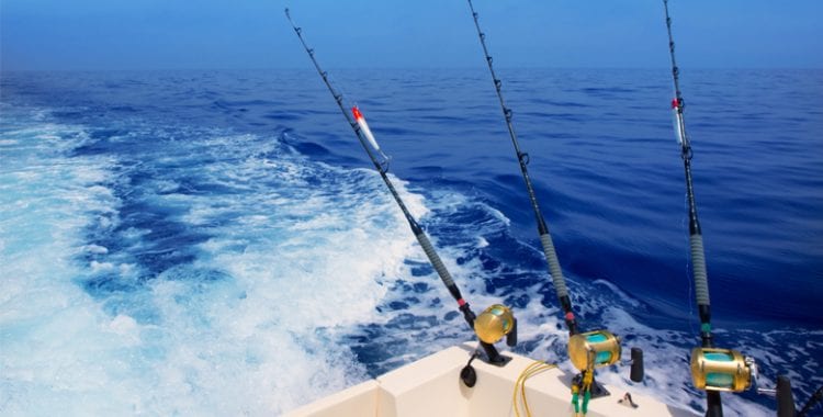 Deep Sea Fishing