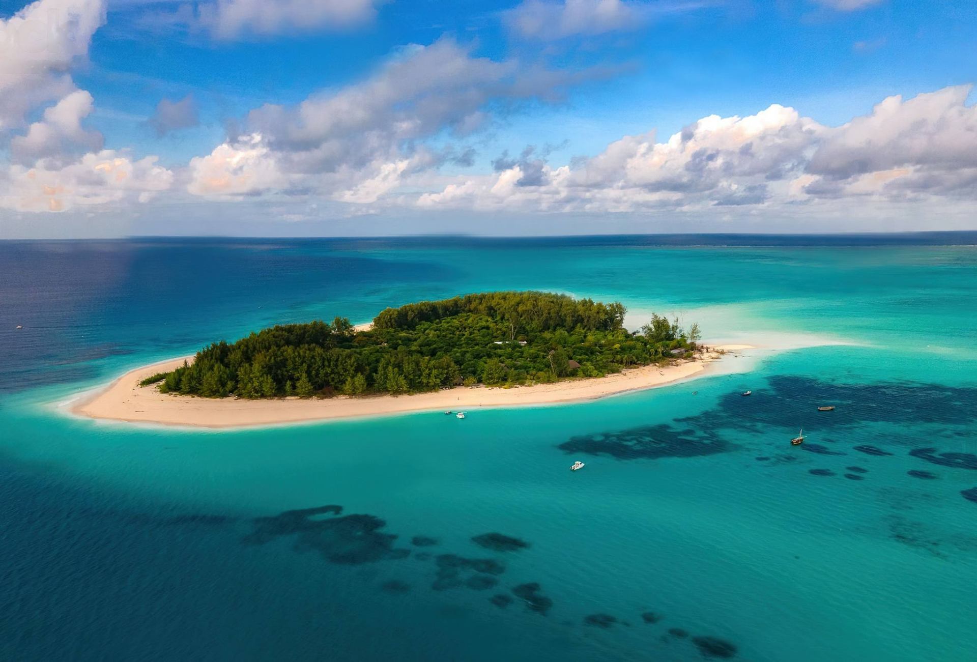Mnemba Atoll Snorkeling gallery 2