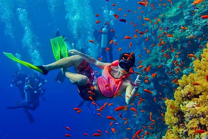 Snorkeling Adventure gallery 2