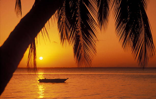 Sunset Safari Tour