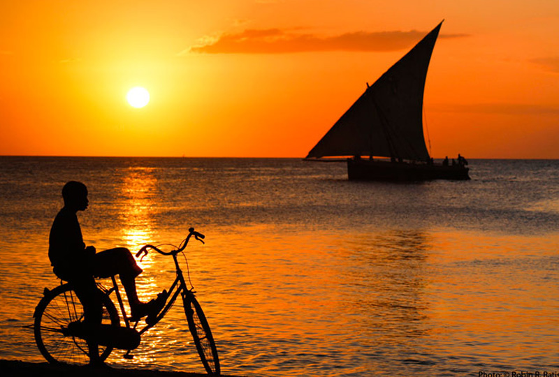 Sunset Safari Tour gallery 2